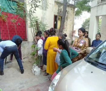 tree plantation 1